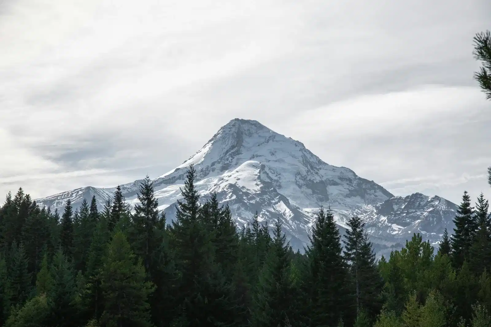 Section background image