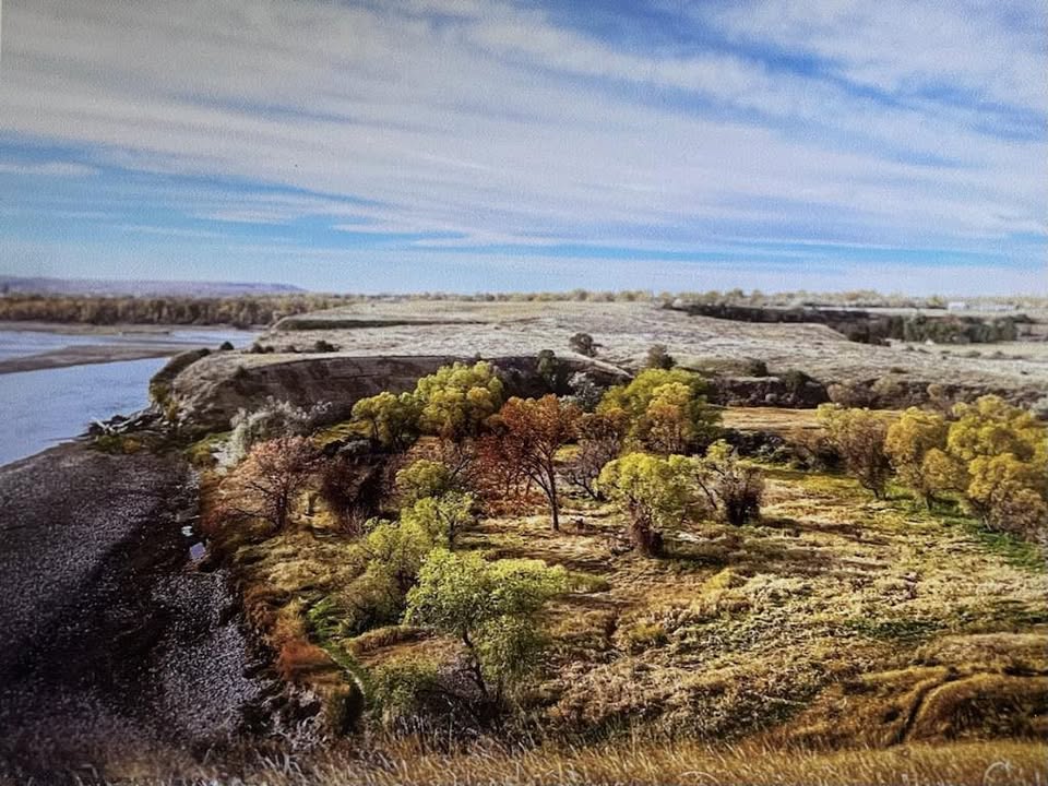 Teak Claim Consultants  | Billings MT cover photo