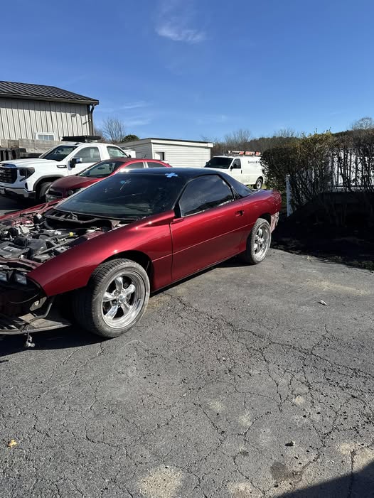 Here's a photo of the Camaro paint work in the daylight.